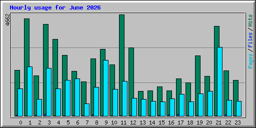 Hourly usage for June 2026